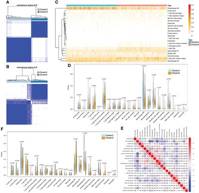 Immunity and Extracellular Matrix Characteristics of Breast Cancer Subtypes Based on Identification by T Helper Cells Profiling